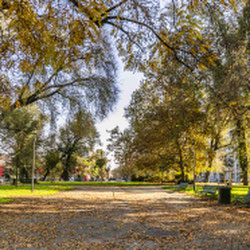 Milano (P.le Siena/Gambara) Quadrilocale con balconi