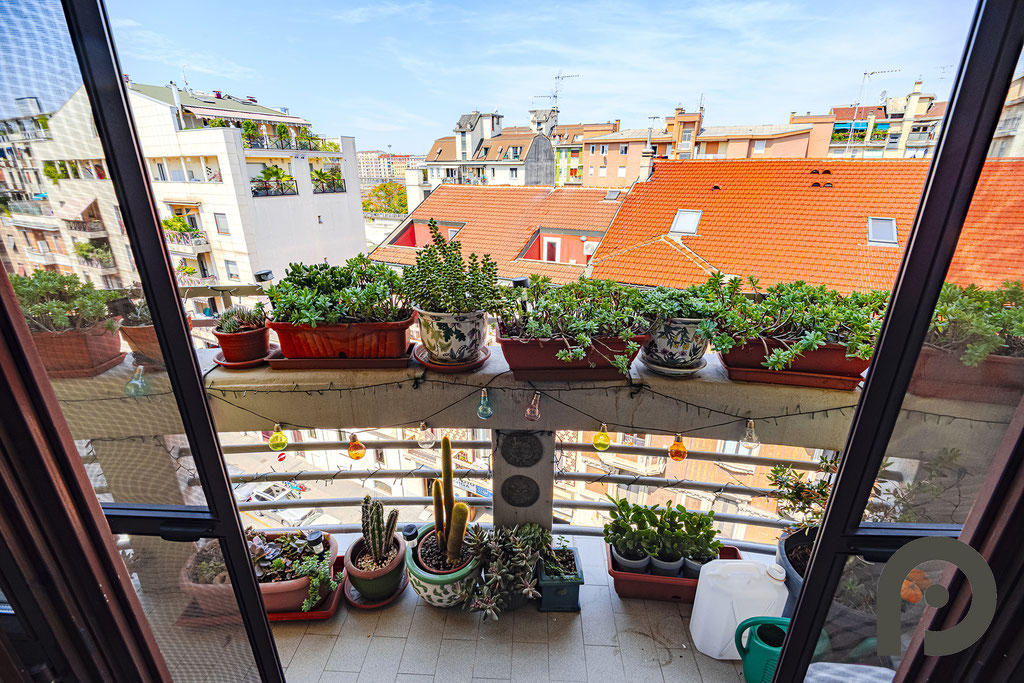 Milano (NoLo) Ampio Cinque locali con finiture di pregio