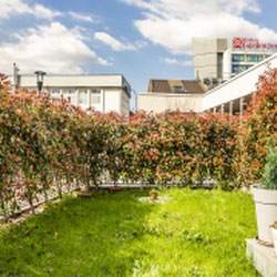 Milano (Precotto/Gorla) Trilocale nuova costruzione con giardino