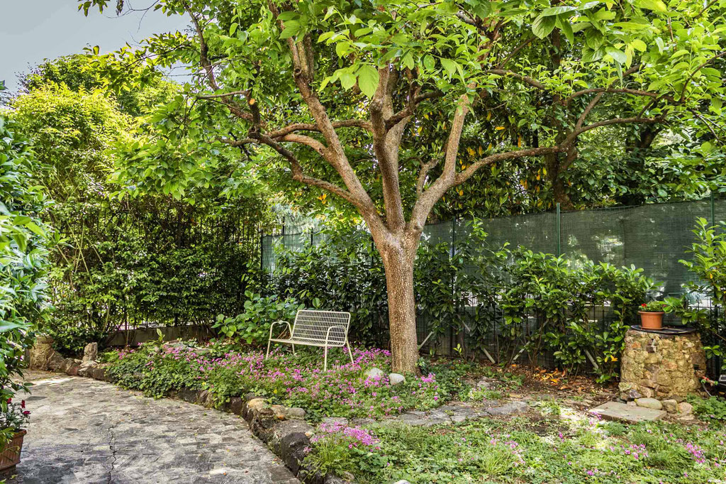 Milano ( Bande Nere ) Trilocale con giardino privato